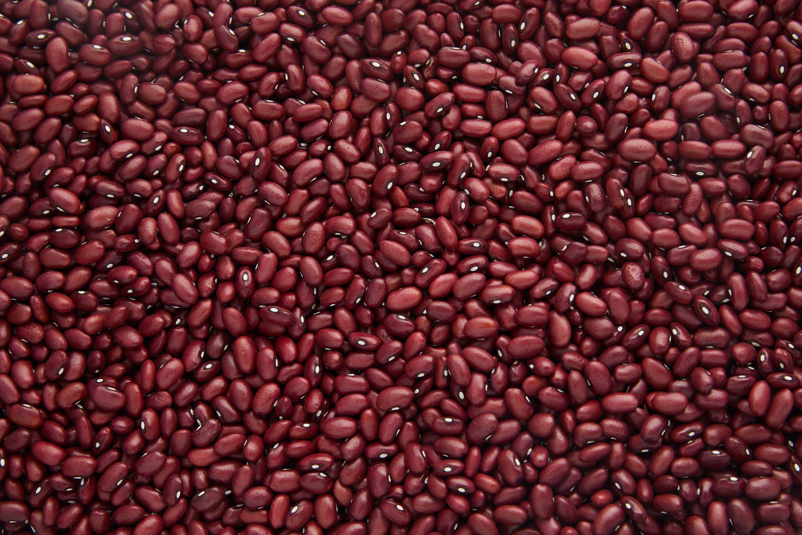 Michigan Small Red Beans Michigan Beans