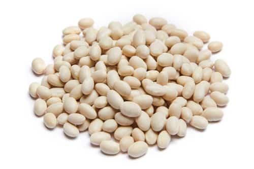 Michigan Navy Bean Pile