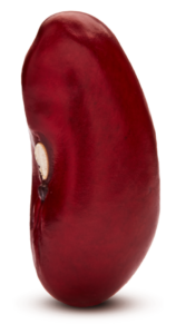 Dark Red Kidney Bean